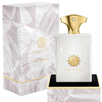Amouage Honour Man 100ml (Парфюмерная вода)