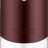 Givenchy Pour Homme 100ml (Туалетная вода)