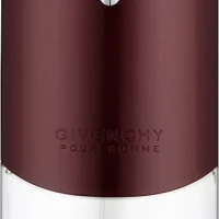 Givenchy Pour Homme 100ml (Туалетная вода)