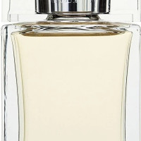 Dior Homme Sport 100ml (Туалетная вода)