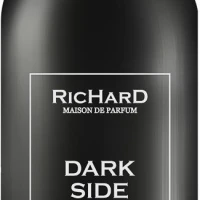 Christian Richard Dark Side 100 ml TESTER (Оригинал) Парфюмерная вода