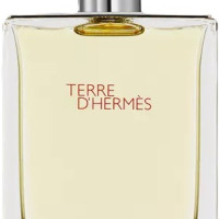 Hermes Terre d'Hermes 100ml (Туалетная вода)