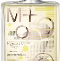 Escentric Molecules Molecule 01 + Ginger 100 ml TESTER (Оригинал) Туалетная вода