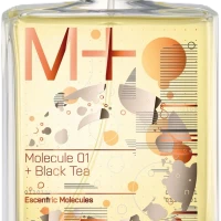 Escentric Molecules Molecule 01 + Black Tea 100 ml TESTER (Оригинал) Туалетная вода
