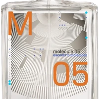 Escentric Molecules Molecule 05 100 ml TESTER (Оригинал) Туалетная вода