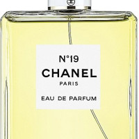 CHANEL №19 100ml (Парфюмерная вода)
