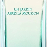 Hermes Un Jardin Apres La Mousson 100 ml TESTER (Оригинал) Туалетная вода