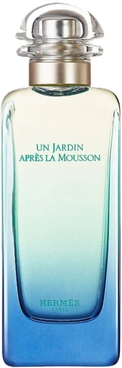 Hermes Un Jardin Apres La Mousson 100 ml TESTER (Оригинал) Туалетная вода