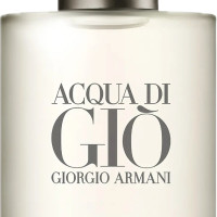 Giorgio Armani Acqua di Gio Pour Homme 100ml (Туалетная вода)